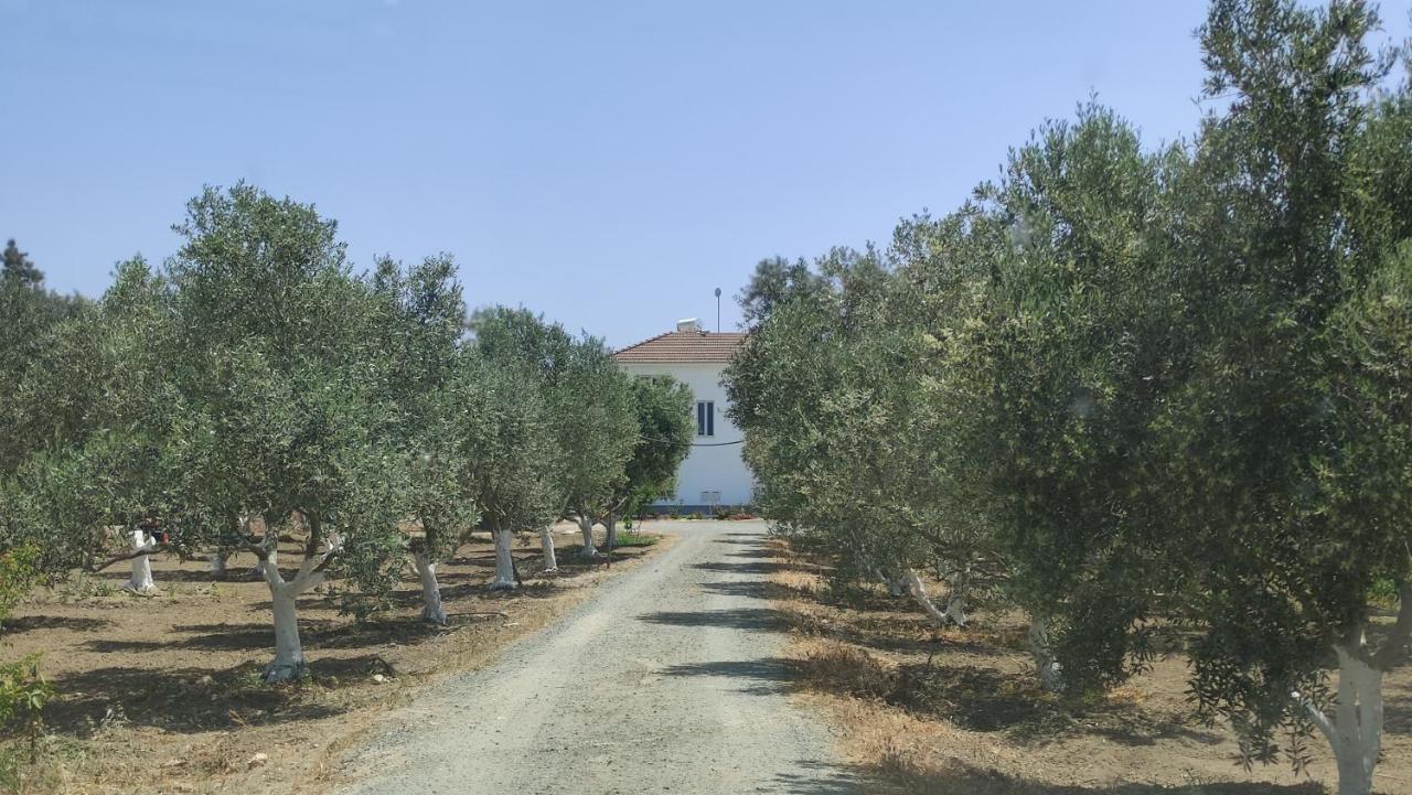 Kiti Village Villa Larnaca Exteriör bild